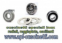 INOX cuscinetti APF Faenza